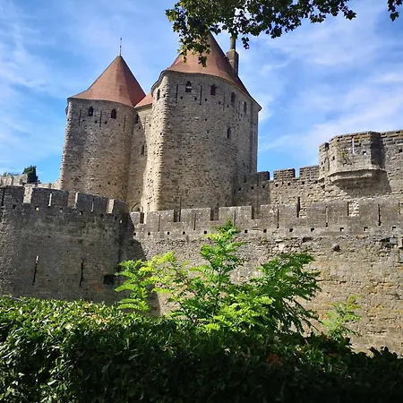 Le Loft Des Vacances Terrasse Wifi Au Calme * Carcassonne